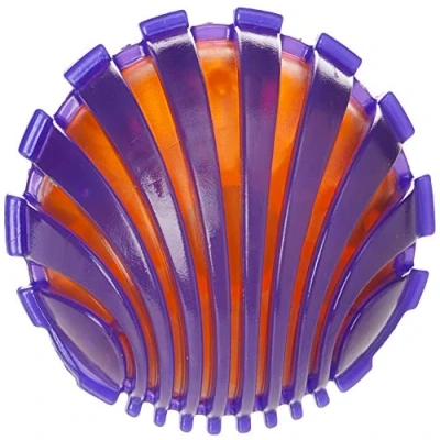 Image of Rosewood Jolly Doggy Giggle Dog Toy Ball