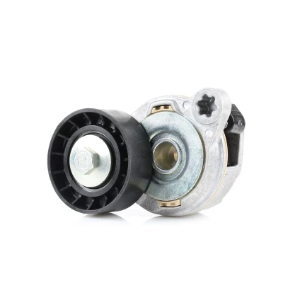 Image of 31251838, 31258145, 31316674, 31330379 Tensioner FEBI BILSTEIN 49398 VOLVO: XC70 II Estate, V70 III Box Body / XC60 I