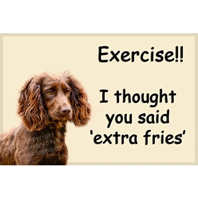 Image of Brown Cocker Sprocker Spaniel Puppy Dog Funny Fridge Magnet Gift