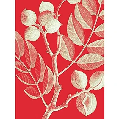 Image of Wee Blue Coo Modern Bold Biodiversity Red Plant Unframed Art Print Poster Wall Decor 12X16 Inch