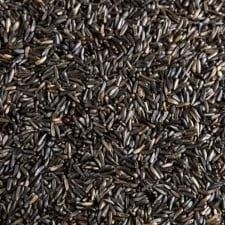 Image of WILD BIRD Niger Nyger Nyjer SEED PREMIUM ESSENTIAL NUTRITION (5kg)