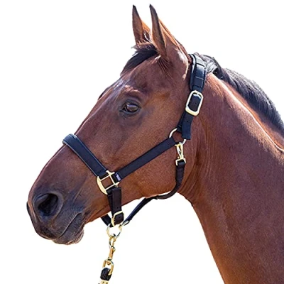 Image of Shires Topaz Nylon Pony/Horse Headcollar Black Cob