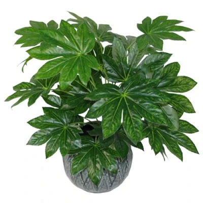 Image of Leaf Design UK Realistic Artificial Foliage Plant with Pot, Aralia, 60cm