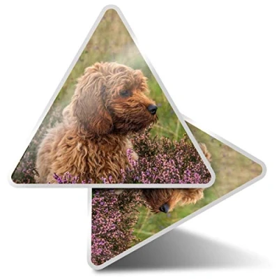Image of 2 x Triangle Stickers 10 cm Fluffy Cockapoo Puppy Dog Fun Decals for Laptops,Tablets,Luggage,Scrap Booking,Fridges #2703