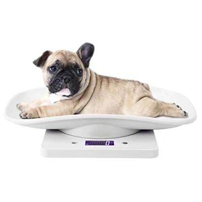 Image of Kitchen Scale,10kg/1g Digital Small Pet Weight Scale for Cats Dogs Measure Tool Electronic