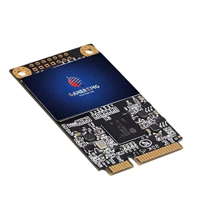 Image of Gamerking SSD msata 256GB Internal Solid State Drive High Performance Hard for Desktop Laptop SATA3 6Gb/s Mini PC 64GB 120GB 128GB 240GB 250GB 480GB 500GB 1TB (256G B, Msata)
