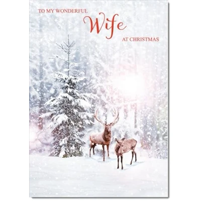 Image of doodlecards Wife Christmas Card Deers in Forest Large A4 Size for with Plain Envelope