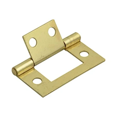 Image of Forge 40mm Flush Hinge with Brass Finish