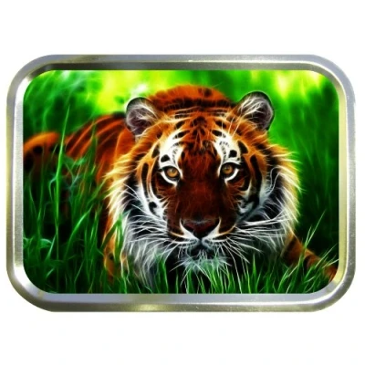 Image of TIGER PORTRAIT 2oz GOLD TOBACCO TIN,BACCY TIN,PILL BOX, STASH CAN,STORAGE TIN