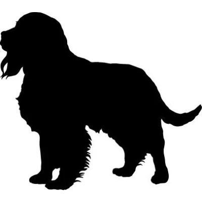 Image of Springer Spaniel Dog Car,Van Window Sticker Decals