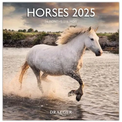 Image of DRAEGER PARIS 1886 Large Wall Calendar 29 x cm 2025 7 languages September 2024 to December 12 photographs available in several themes Horses Note appointments, birthdays
