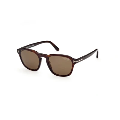 Image of TOM FORD Man FT0931 Avery 52h Sunglasses Acetate Havana Brown Round Polarized