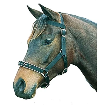 Image of Kincade Nylon Padded Lunge Cavesson, Black, Full