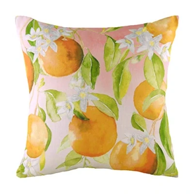 Image of Evans Lichfield Fruit Oranges Cushion Multicolour One Size