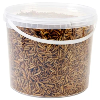 Image of Wild Bird Food 5L Tub (5L Tub, Calci Worms)
