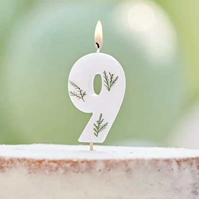 Image of Ginger Ray Birthday Cake Candle Decoration Foliage Floral Eco Number 9