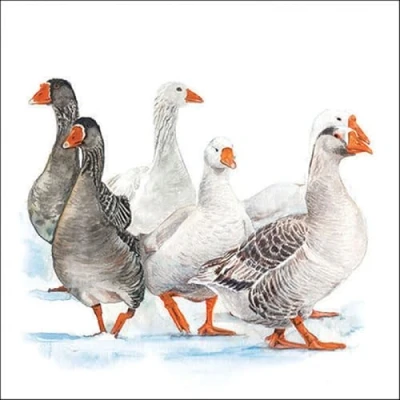 Image of 20 Napkins Winter Geese in as Table Decoration Paper with Motif Also for Decoupage and 33 x cm