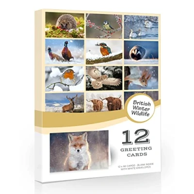 Image of 12 x British Winter Wildlife Folding Greeting Cards with Envelopes. UK Countryside Collection. Blank Inside for All Occasions