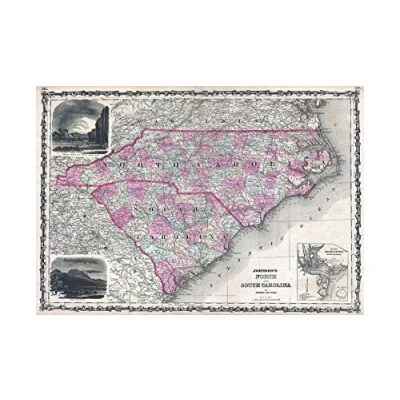 Image of Wee Blue Coo Map Antique Johnson North South Carolina Wall Art Print