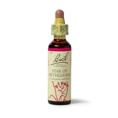 Image of Bach Original Flower Remedies (Star Of Bethlehem) Find Joy &amp; Hope, Be Comforted, Emotional Wellness, Natural Essence, 20ml