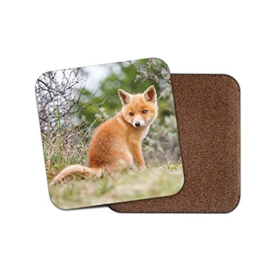 Image of 1 x Ginger Baby Fox Coaster Cute Wildlife Animal Wild Dad Mum #15612