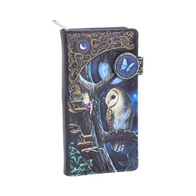 Image of Nemesis Now B4864P9 Lisa Parker Fairy and Owl Purse 18.5cm, PU, Black, One Size