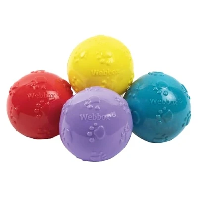 Image of Webbox Fun &amp; Squeaky Balls (4 Pack) Boredom Buster Dog Toys