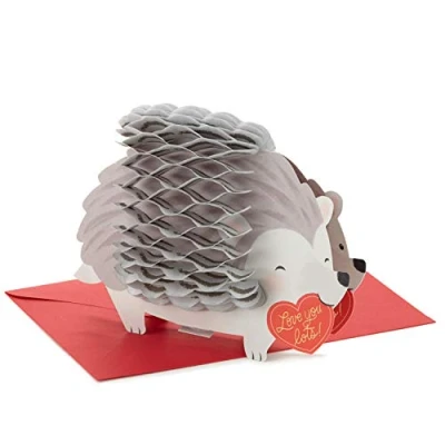Image of Hallmark Paper Wonder Pop Up Valentines Day Card (Honeycomb Hedgehog)