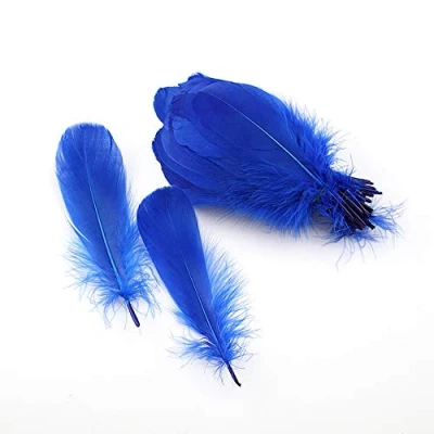 Image of Sowder Natural Goose Feathers Clothing Accessories Pack of 100(royal blue)