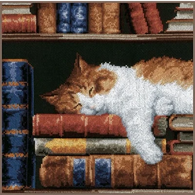 Image of Vervaco Sleeping on Bookshelf Counted Cross Stitch Kit, Multi Colour