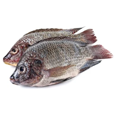 Image of Black Tilapia 1kg /+10%