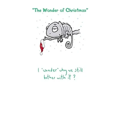 Image of Sarcastic Christmas Card Generic, Funny Cards, Card, Xmas Generic Funny, Rude Cards