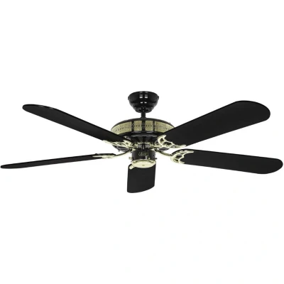 Image of CasaFan Black Magic elegant ceiling fan