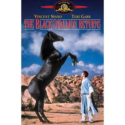Image of The Black Stallion Returns [DVD]