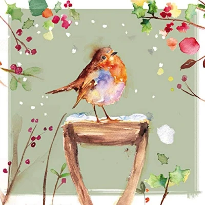 Image of Pack of 8 Charity Christmas Cards (ALM ALCX0481) Robin on a Snowy Handle Stunning Artistic From The Almanac Gallery Sold in Aid Alzheimer&#039;s Society