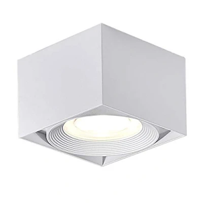 Image of Dr.lazy Indoor 10W LED Adjustable Ceiling Spots lamp Light Spotlight Surface Mounted spotlights Downlight Square Interior Light, 10X10x7CM (White 4000K)
