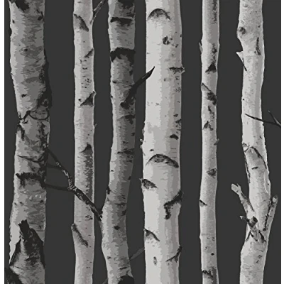 Image of Brewster FD31052 Birch Tree Wallpaper Black