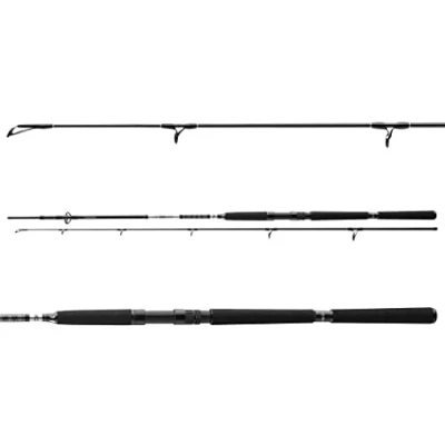 Image of Daiwa BG Pilk 2,40m 40 125g Sea fishing rod