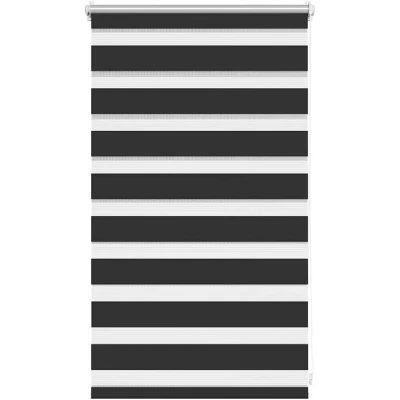 Image of vidaXL Zebra Blind 50 x 100 cm Black