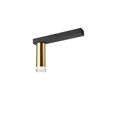 Image of Diego Surface Mounted Downlight Gold, 1x E27