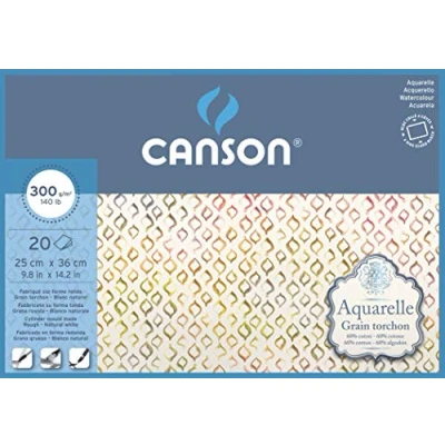 Image of CANSON Aquarelle Watercolour Rough 300gsm Paper, Block Glued 4 Sides, 25x36cm Natural White 20 Sheets, Ideal for Professional Artists