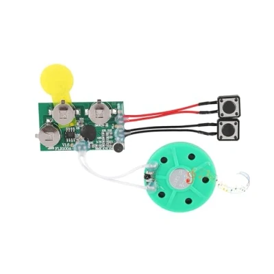 Image of Re recordable Sound Chip Module, DIY Greeting Card Chip, 120 Seconds Music Voice Recording Player Module for Cards/Toys