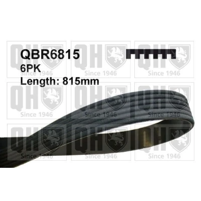 Image of 6PK812, 6PK813, 6PK814, 6PK815, 6PK816 V ribbed belt QUINTON HAZELL QBR6815 815mm 6 VOLKSWAGEN: Polo IV Hatchback, SEAT: Ibiza 3