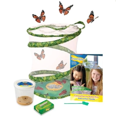 Image of Butterfly Garden with 3 5 Caterpillars