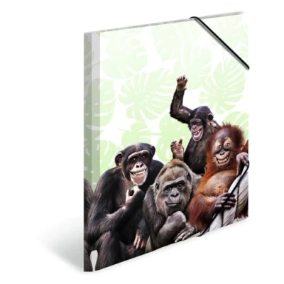 Image of HERMA Portfolio Folder A4 Monkey, Children&#039;s Plastic Corner with Animal Motif, Elastic Band, Inner Flaps and Print for Boys Girls