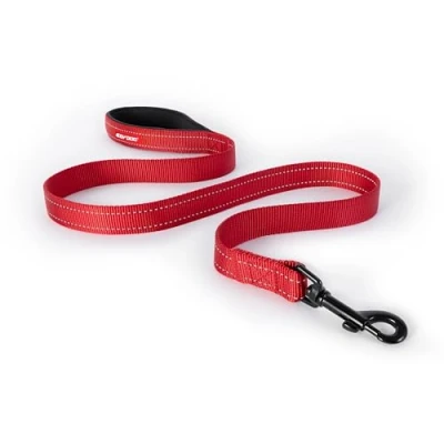 Image of EzyDog Essential Lead Training Lead, Small Dogs, Medium Large Sturdy Dog Comfortable Padded Handle, Reflective Thread, 1.2M (Red)