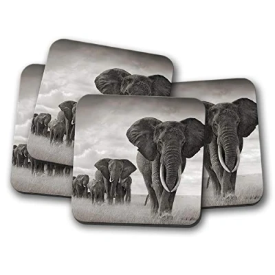 Image of 4 Set Elephant Herd Coaster Safari Africa Zoo Animal Nature Fun #8955