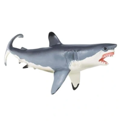 Image of Great White Shark