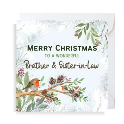 Image of Second Ave Brother &amp; Sister in Law Christmas Robin Square Xmas Holiday Festive Greetings Card