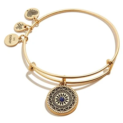 Image of Alex and Ani Path of Symbols Expandable Bangle for Women, New Day Charm, Rafaelian Finish, 2 to 3.5 in, S, Non Precious Metal, no gemstone